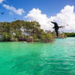 Full Day Tour of Isla Holbox and Isla Pasión with Cenote - FAQ