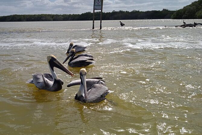 Full Day Tour Río Lagartos with Pickup from Mérida 7 AM - Is It Worth the Price?