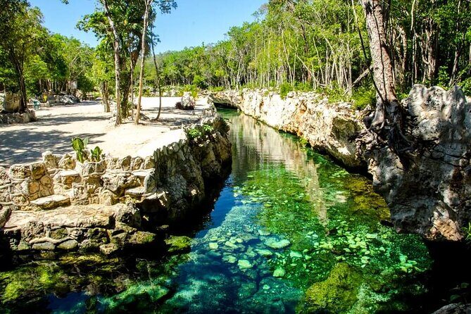 Full Day Tour to 5 Magical Cenotes in the Riviera Maya - Main Attraction: Visiting the Cenotes at Casa Tortuga