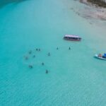 Full Day Tour to 7 Colors Bacalar Lagoon with Lunch - Assessing the Value