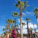 Full Day Tour to Balandra Beach, Todos Santos and La Paz - Who Is This Tour Best For?