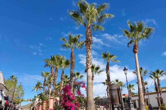 Full Day Tour to Balandra Beach, Todos Santos and La Paz - Who Is This Tour Best For?