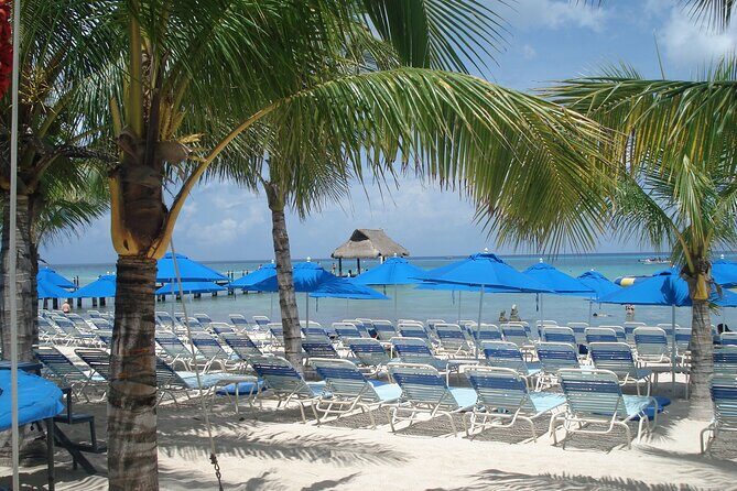 Full day tour to El Cielo in Cozumel Snorkeling and Lunch - Snorkeling at Colombia Reef and Palancar Reef