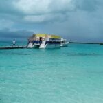 Full Day Tour to Isla Contoy and Isla Mujeres from Cancun - Who Is This Tour Best For?
