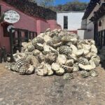 Full-Day Tour to La Fortaleza Distillery and Cantaritos - An In-Depth Look at the Tour Experience