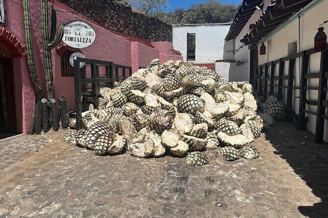 Full-Day Tour to La Fortaleza Distillery and Cantaritos - An In-Depth Look at the Tour Experience
