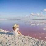 Full-Day Tour to Las Coloradas Pink Paradise in Yucatan and Rio Lagartos. - Who Will Love This Tour?
