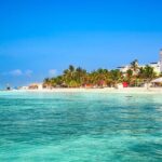 Full-Day Whale Shark Snorkeling Adventure with Beach Lunch - Why We Think This Tour Is a Great Deal