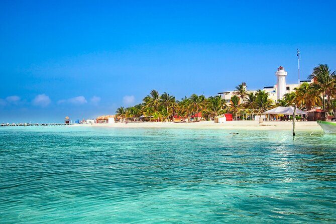 Full-Day Whale Shark Snorkeling Adventure with Beach Lunch - Why We Think This Tour Is a Great Deal