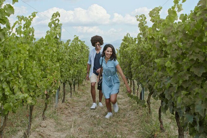 Full-Day Wine, Whiskey & Beer Tour w/ Lunch Pairing - FAQs