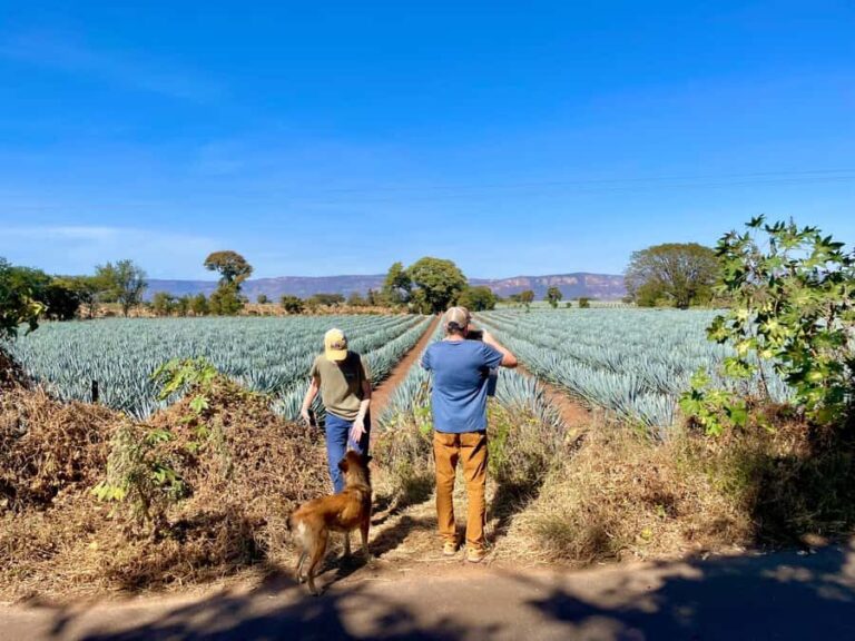 Fully-Private Half-Day Tequila Tour - An In-Depth Look at the Tour Experience
