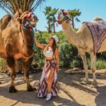 Fun Camel Ride and UTV COMBO with Tequila Tasting! - Final Thoughts