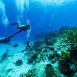 Fun Dive in Cozumel  Dive Machine Experience - Why Choose This Tour?