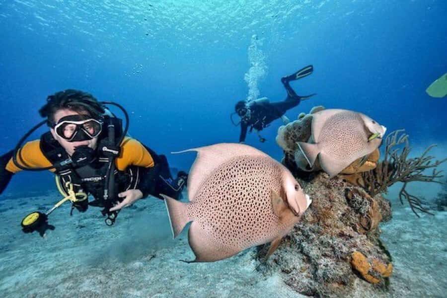 Fun Dive in Playa del Carmen Dive Machine Experience - What to Expect at the Dive Site