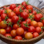 Fun Pasta Making Class With Local Chef in Houston - Who This Experience Is Best For