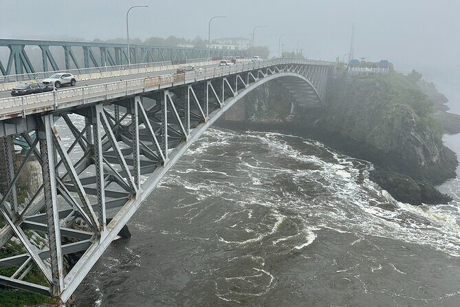 Fundy Shore Tour By Bus - Who Should Consider This Tour