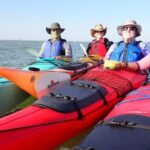 Galveston: Sea Kayaking Tour with Harbor Views - What Makes This Tour Special?