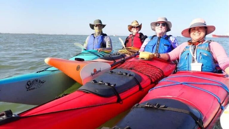 Galveston: Sea Kayaking Tour with Harbor Views - What Makes This Tour Special?