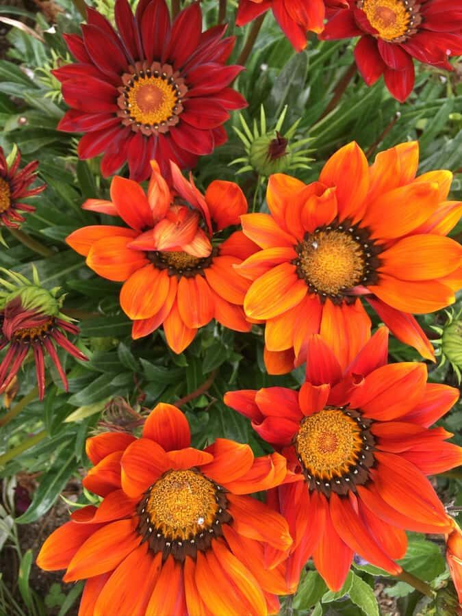 Garden Paths and Architectural Gems - What to Expect and Practical Tips