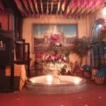 Garibaldi Night Tour - Final Thoughts: Is the Garibaldi Night Tour Worth It?