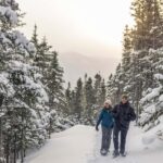 Gaspésie: National Park Entry Ticket with Snowshoe Rental - Key Points