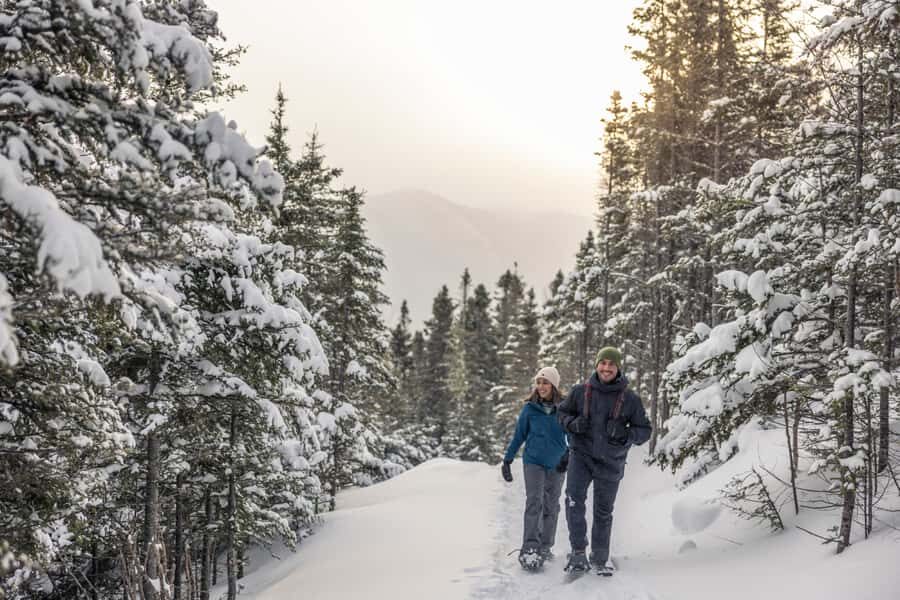 Gaspésie: National Park Entry Ticket with Snowshoe Rental - Key Points