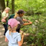 Gatlinburg: Adventure Hike and Craft for Kids - Who Would Appreciate This Tour?