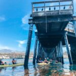 Gaviota Coast Near Santa Barbara: Kayak Tour (3.5 Hours) - The Orientation and Paddling Routine