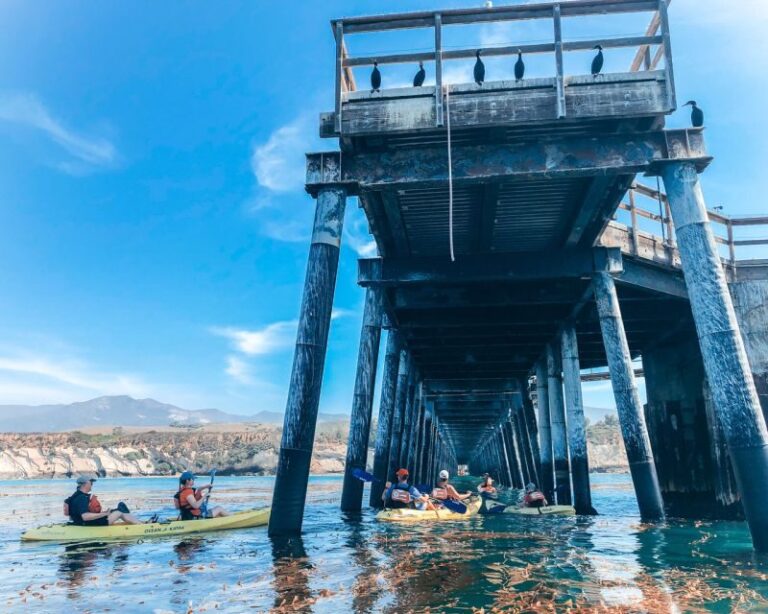 Gaviota Coast Near Santa Barbara: Kayak Tour (3.5 Hours) - The Orientation and Paddling Routine