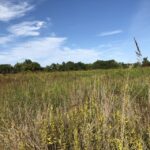 Gettysburg: The Wonder Women's Hidden Valor Walking Tour - Analyzing the Value for Travelers