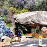 Giant Sequoia National Park Private Day Tour from Los Angeles - Final Thoughts