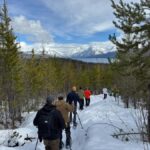 Glacier National Park: Combo Driving Tour + Snowshoe Trek - What to Expect on the Tour
