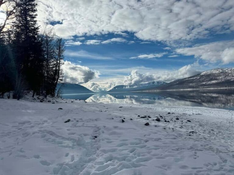 Glacier National Park: Winter Driving Tour with Lunch - Key Points