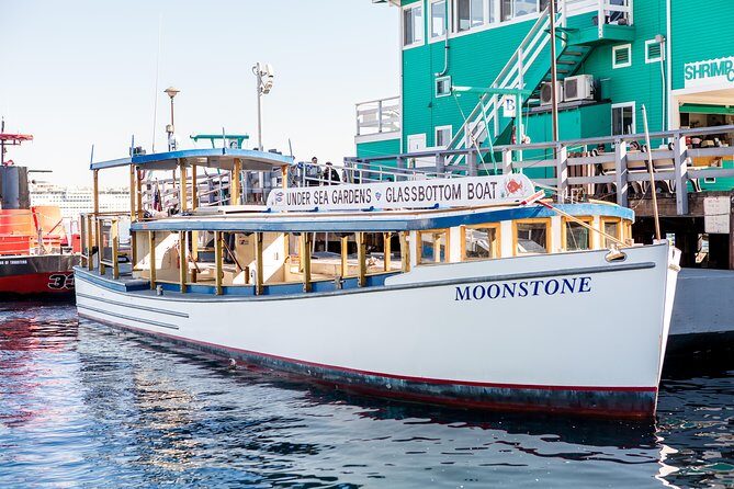 Glass Bottom Boat: Catalina Island Tour - Authentic Experiences and Real Feedback