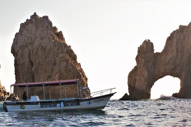 Glass Bottom Boat Sightseeing Tour in Cabo San Lucas - Authentic Experiences and Traveler Insights