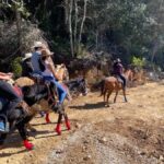 Go horseback riding in the forest and visit San Juan Chamula - Transportation and Practical Details