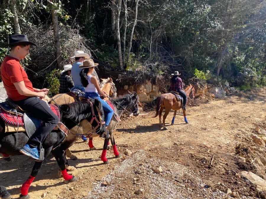 Go horseback riding in the forest and visit San Juan Chamula - Transportation and Practical Details