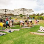 Goat Yoga with Miniature Goats In Maui - Authentic Reviews Speak Volumes