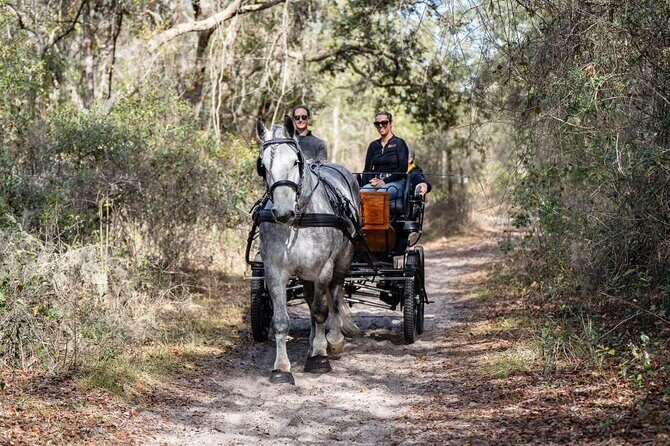 Goethe Forest Carriage Ride - FAQ