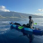 Golden Hour Kayak And Whale Watch - Why This Tour Might Be the Right Choice for You