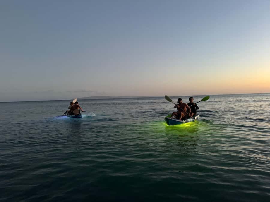 Golden Hour Kayak Cruise Through Turtle Town - A Detailed Look at the Itinerary and Experience