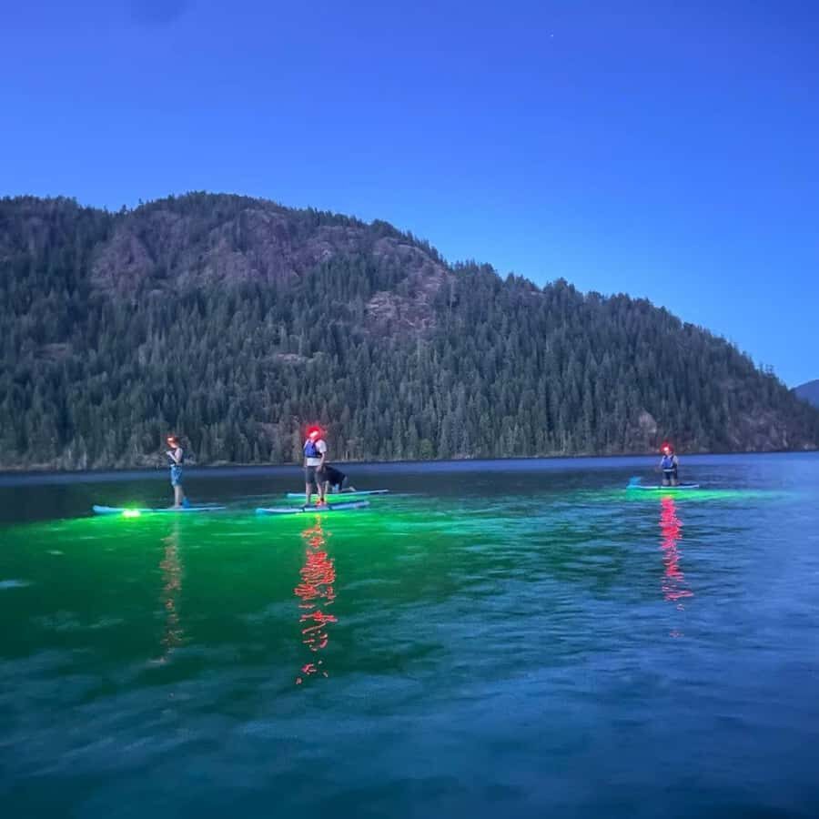 Gordon Bay: Paddleboard Glow Cruise Light & Sound Experience - Who Should Consider This Tour?