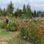 Graham: Faithful Hands' Farm Tour - Why This Farm Tour Offers Real Value