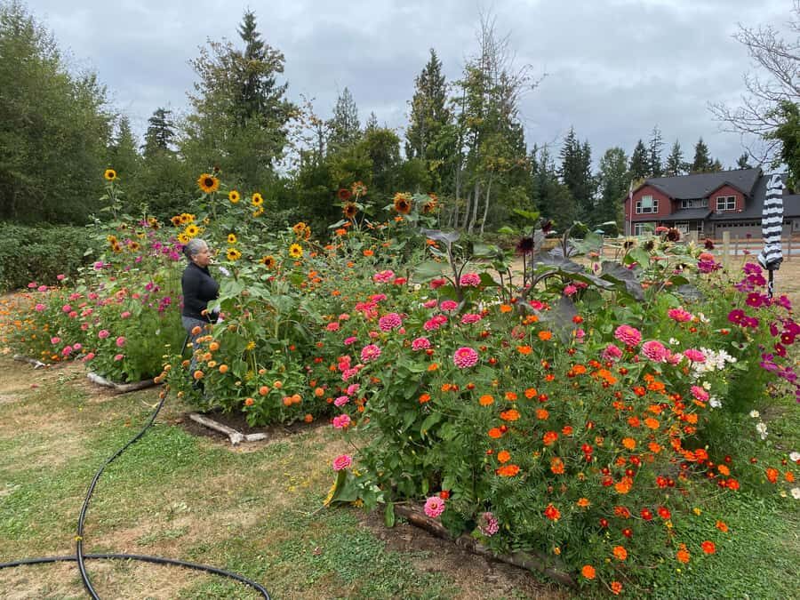 Graham: Faithful Hands' Farm Tour - Why This Farm Tour Offers Real Value