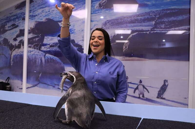 Gran Acuario Mazatlan - Why Gran Acuario Mazatlan Offers Great Value