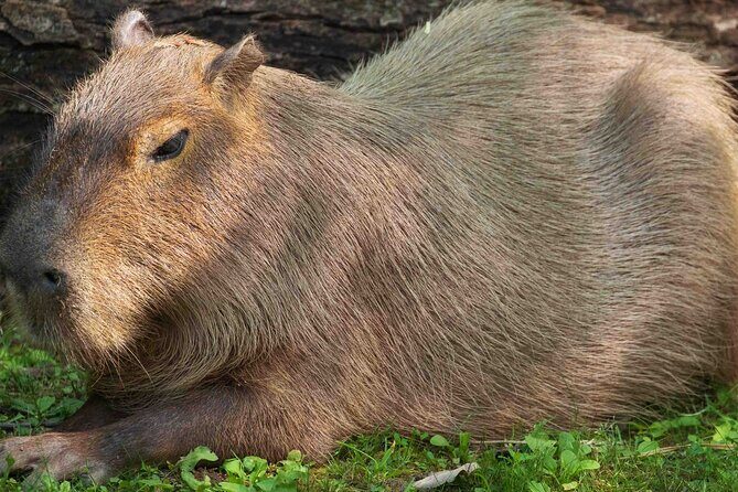 Granby Zoo 1 Day - Who Will Enjoy This Tour?