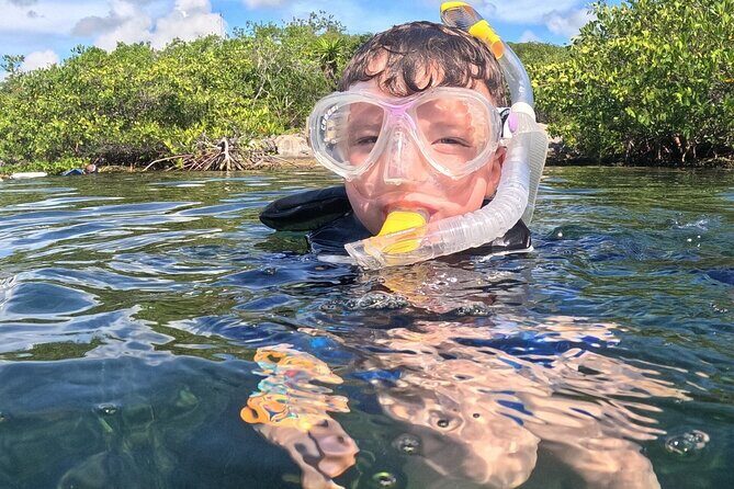 Grand Snorkeling Riviera Maya Private Tour - Analyzing the Value