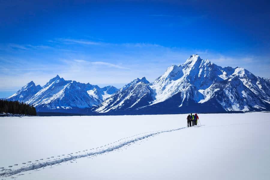 Grand Teton National Park: 4-Hour Beginner Cross-Country Ski - The Scenic Trails and Stops