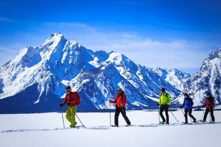 Grand Teton National Park: 4-Hour Easy Snowshoeing Tour - The Landscape: Views that Speak for Themselves