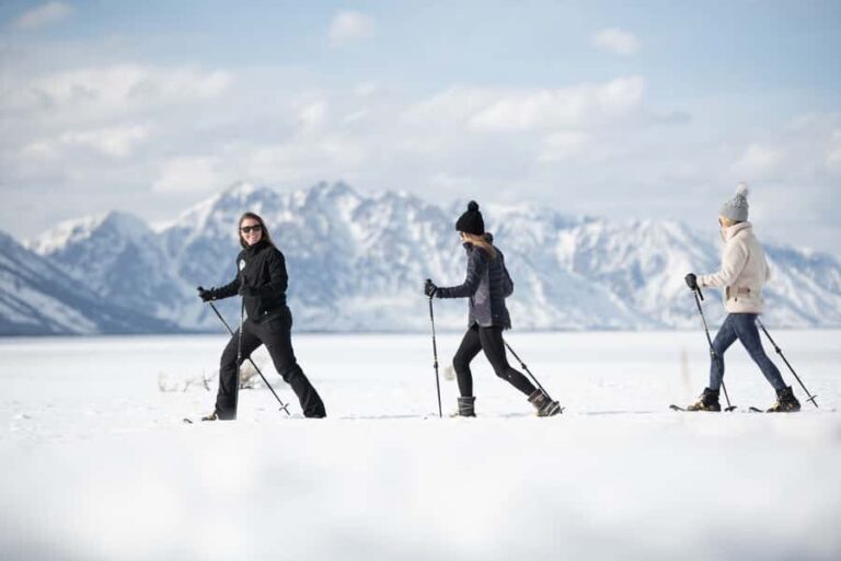 Grand Teton National Park: 8-Hour Willdlife & Snowshoe Tour - Wildlife Safari in a Comfortable, Guided Vehicle